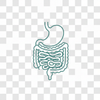 Digestive Health Service Icon Gastroenterology Compounding at Mixwell in Chino, CA Delivery across California