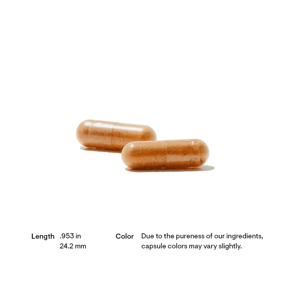 red yeast rice coq10 120 capsules